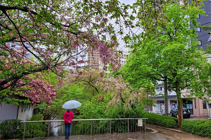 西川緑道公園