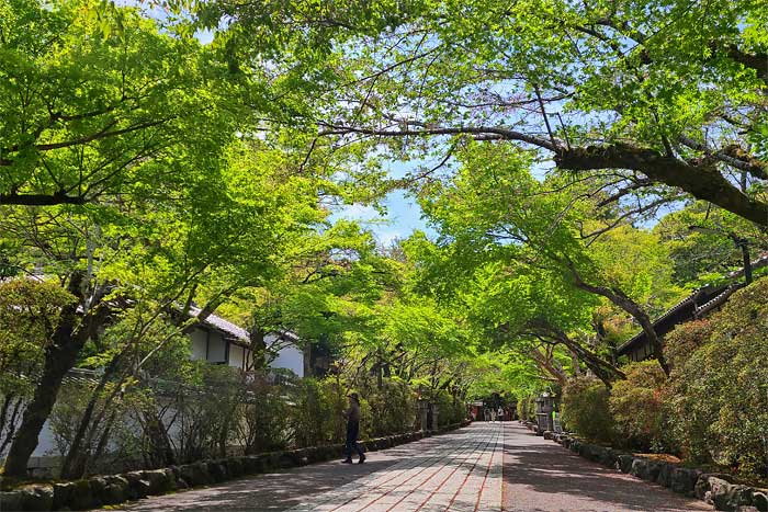 石山寺