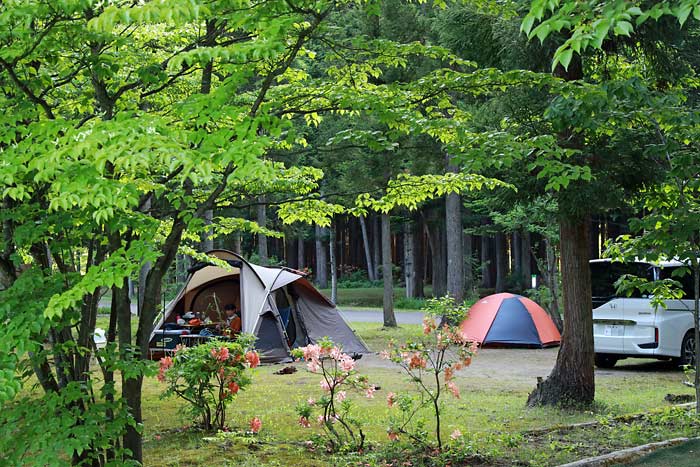 北欧の杜オートキャンプ場