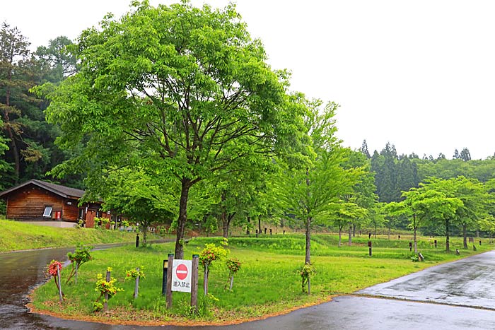 田沢湖オートキャンプ場