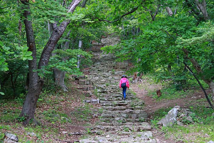 赤神神社五社堂