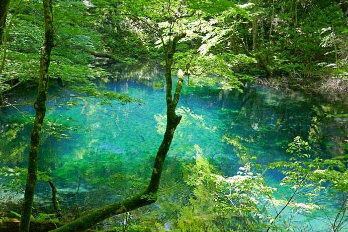 沸壺の池