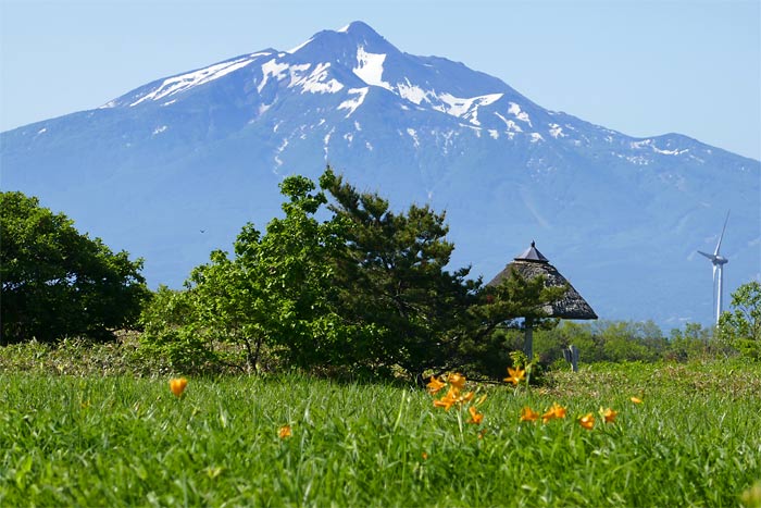 ベンセ湿原