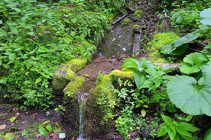 幌鹿の岩清水