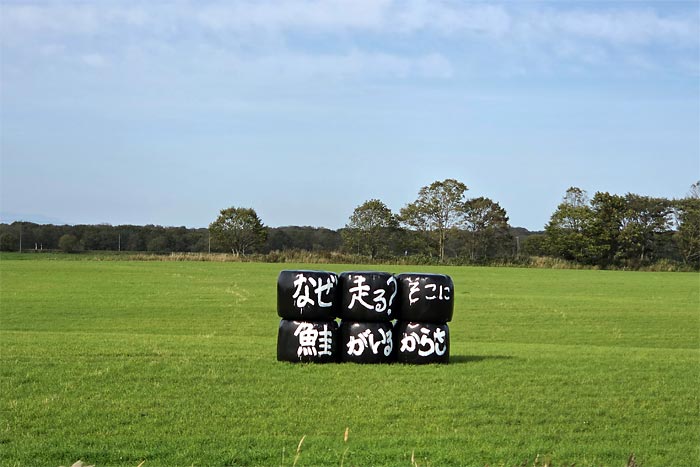 別海町パイロットマラソン