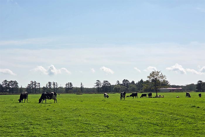 別海町パイロットマラソン