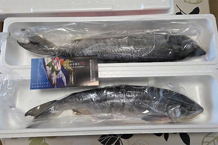 別海町パイロットマラソン