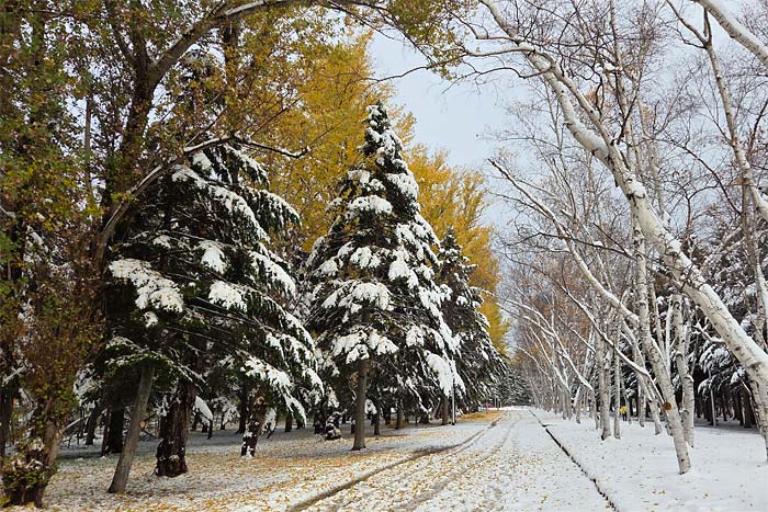 作.AC真駒内マラソン