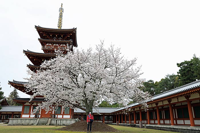 薬師寺