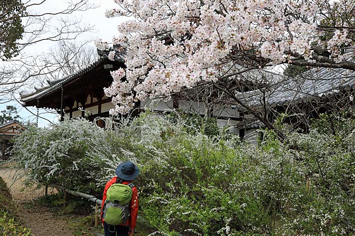 海龍王寺