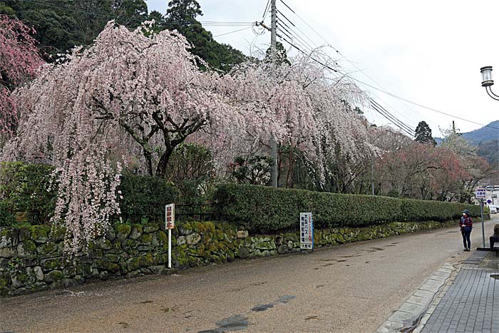 大野寺