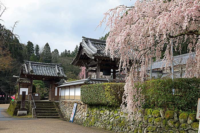 大野寺