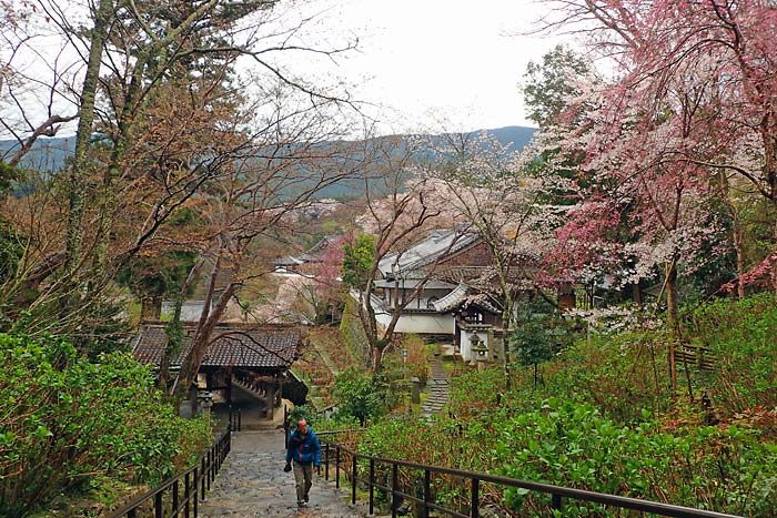 長谷寺