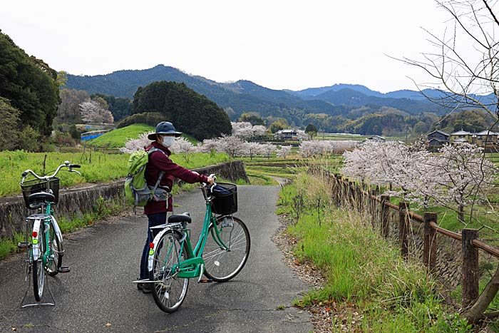 ママチャリで飛鳥サイクリング