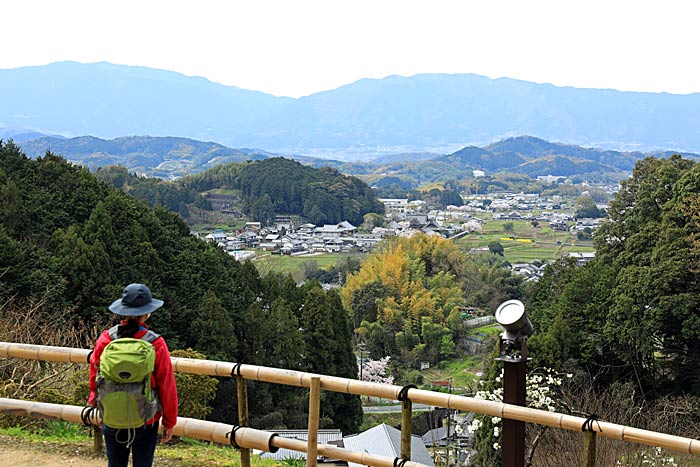 岡寺