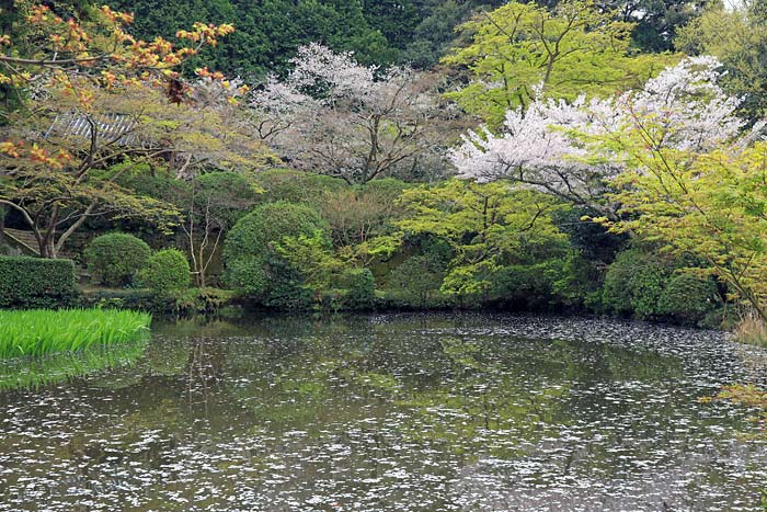 長岳寺