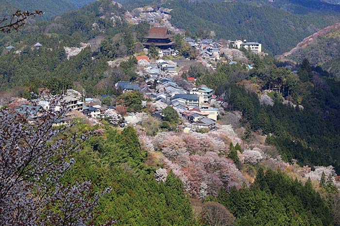 吉野山