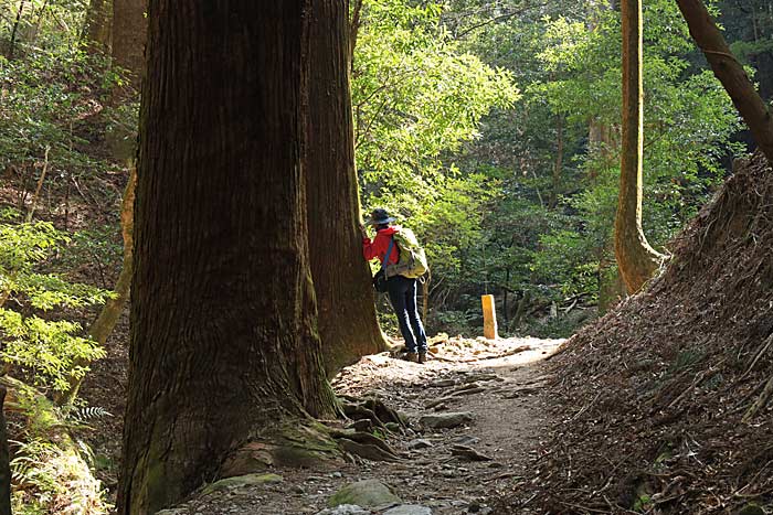 柳生街道(滝坂の道)