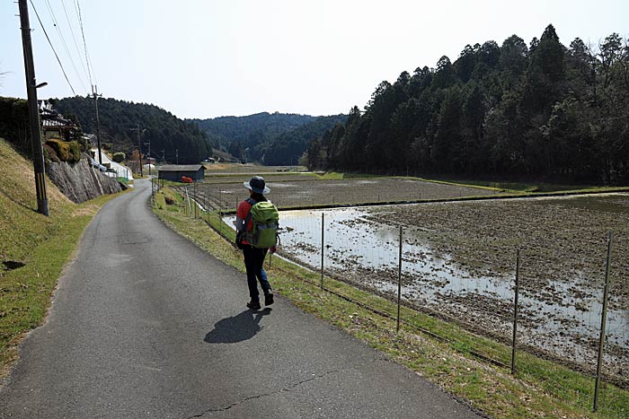 柳生街道(滝坂の道)