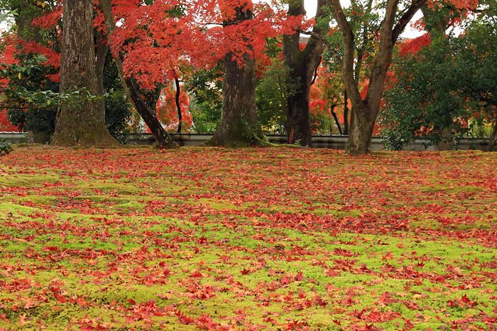 金閣寺