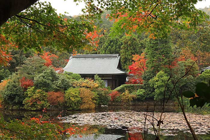 龍安寺