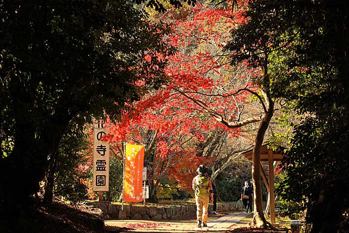 勝持寺