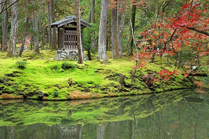 西芳寺