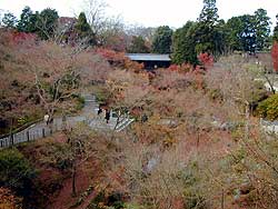 東福寺橋廊から