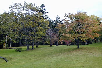 富士見ヶ丘公園キャンプ場