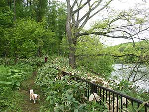 古山貯水池自然公園オートキャンプ場