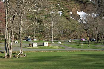 道民の森一番川オートキャンプ場