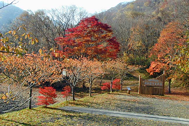 川汲公園