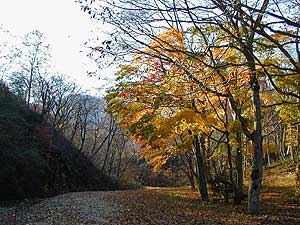 川汲公園