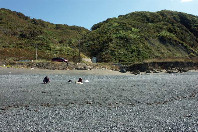 無縁島海岸