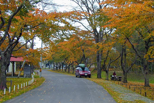 長万部公園キャンプ場