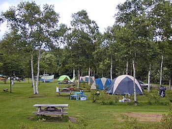 桜ケ丘森林公園オートキャンプ場