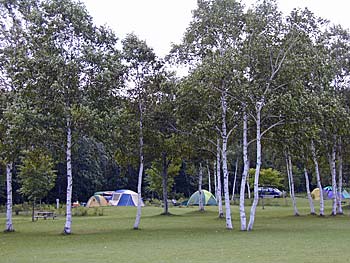 桜ケ丘森林公園オートキャンプ場