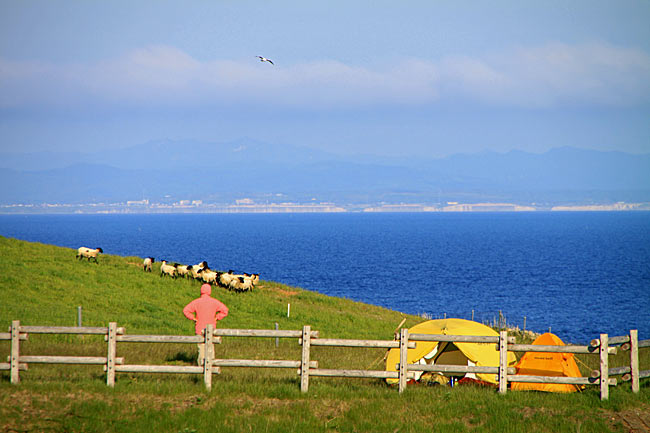 焼尻島白浜野営場