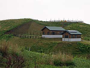 焼尻島白浜野営場