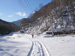 林道へ続く