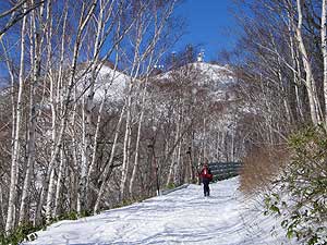 紋別岳山頂が見える