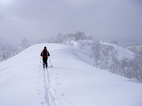 大沼山頂上を散歩