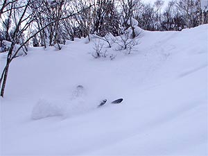 転んだ!
