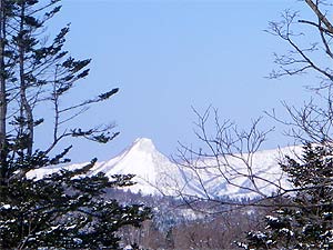 黄金山