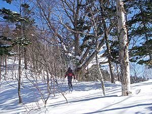 山頂へ続く尾根