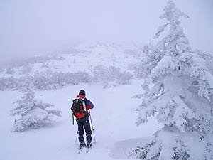 山頂への斜面