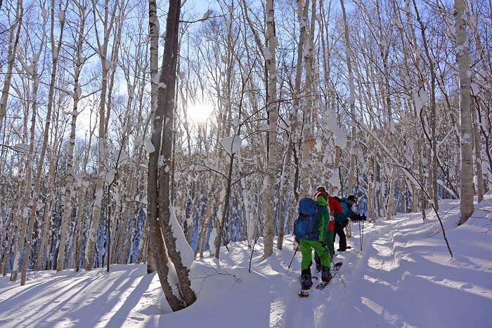 札幌たけのこ山