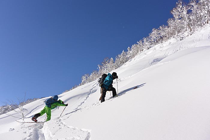 札幌たけのこ山