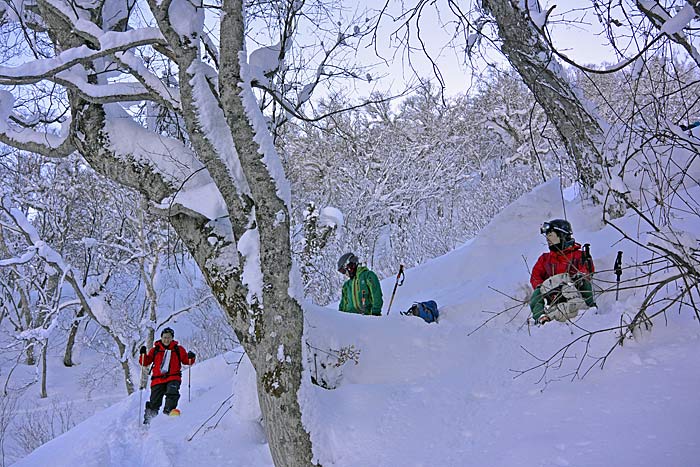 札幌たけのこ山