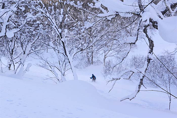 札幌たけのこ山